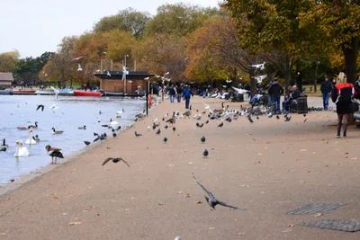 DSC_0641 (Large).JPG